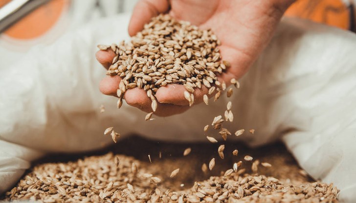 Румънските фермери настояват спешно за среща с правителството Румънските фермери настояват спешно за среща с правителството