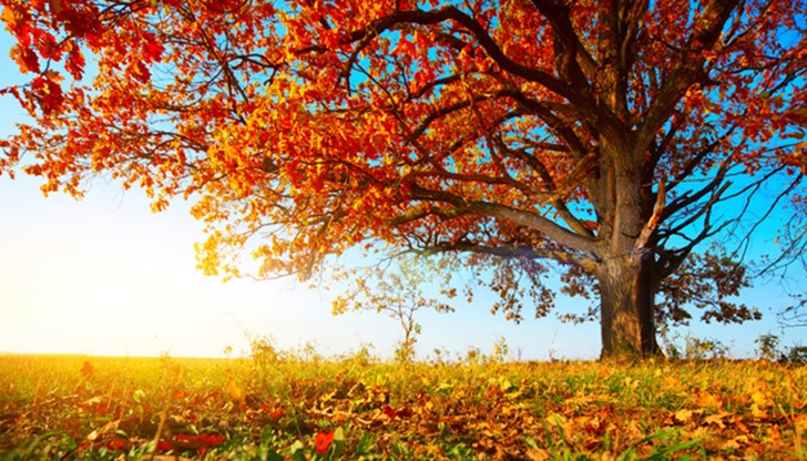 Тази година есенното равноденствие ще настъпи на 23 септември в 09:50 ч. българско време