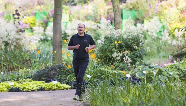 Германският канцлер е паднал и е получил натъртвания по лицето Германският канцлер е паднал и е получил натъртвания по лицето