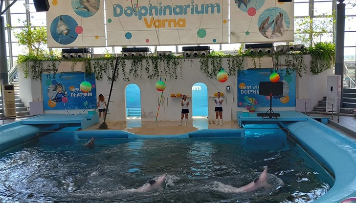 За случая разказа майката на детето