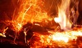 Пожар унищожи светлоотразителни колчета на път край село Копривец