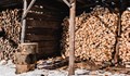 Установиха незаконна дървесина в два имота в Сеново