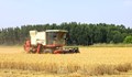 Тъмната страна на зърнените култури в Европа