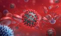 309 са новите случаи на коронавирус у нас