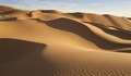Откриха 150 мъртви котки в пустиня в ОАЕ
