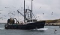 ЕК ограничи възможностите за риболов в Черно море