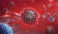 599 нови случаи на коронавирус у нас