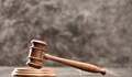 Делото за побоя над кучето Мечо стартира през ноември