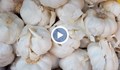 Печели ли се от отглеждане на чесън?