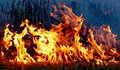 250 декара растителност изгоря край Дуранкулашкото езеро