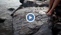 Сушата разкри скални рисунки в Амазонка на над 2000 години