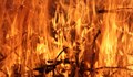 350 овощни дървета пострадаха при пожари в Русенско