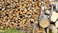 Намериха незаконна дървесина в село Писанец и село Смирненски