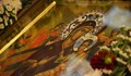 Отбелязваме Покров Богородичен