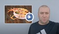Русенски рибар: Вече ще може да ядем със "стил" скариди в задния си двор