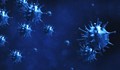 Расте броят на заразените с коронавирус в Сърбия