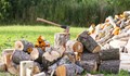 Откриха незаконна дървесина в село Кривня
