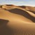 Откриха 150 мъртви котки в пустиня в ОАЕ