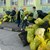 Русенски ученици събраха близо 4 тона отпадъци