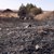 30 декара сухи треви изгоряха при пожари в Русенско