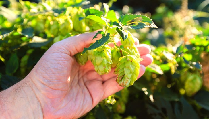 Международният екип, направил изследването, отправя призив за незабавни мерки за адаптиране