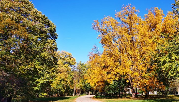 В Русе и Плевен температурите ще достигнат до 28 градуса В Русе и Плевен температурите ще достигнат до 28 градуса