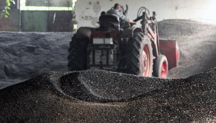 Илия Проданов: До 8000 тона украински слънчоглед влизат у нас всеки ден Илия Проданов: До 8000 тона украински слънчоглед влизат у нас всеки ден