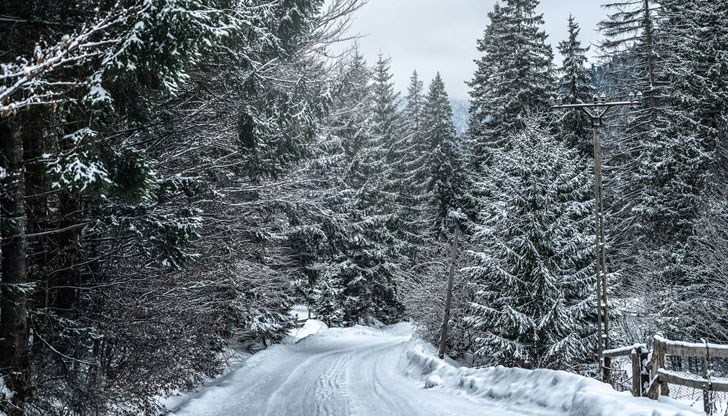 Снеговалежът и мъглата затрудниха движението при прохода Карабет на три хиляди метра надморска височина / снимката е илюстративна / Снеговалежът и мъглата затрудниха движението при прохода Карабет на три хиляди метра надморска височина / снимката е илюстративна /