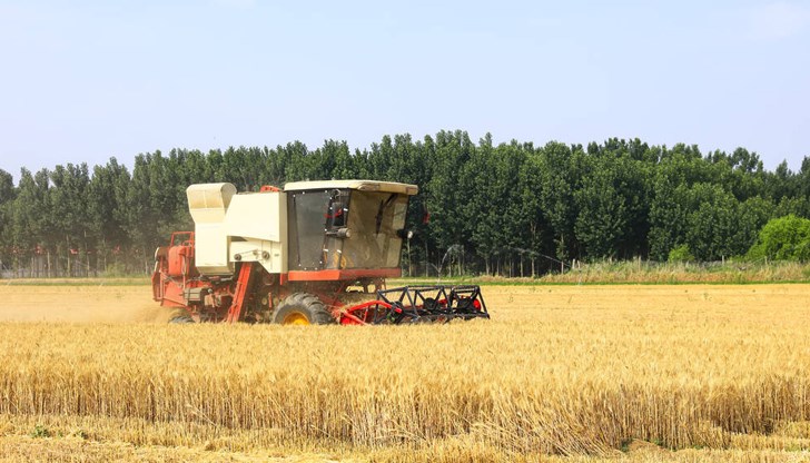 37% от продуктите на основата на житни култури съдържат остатъци от пестициди