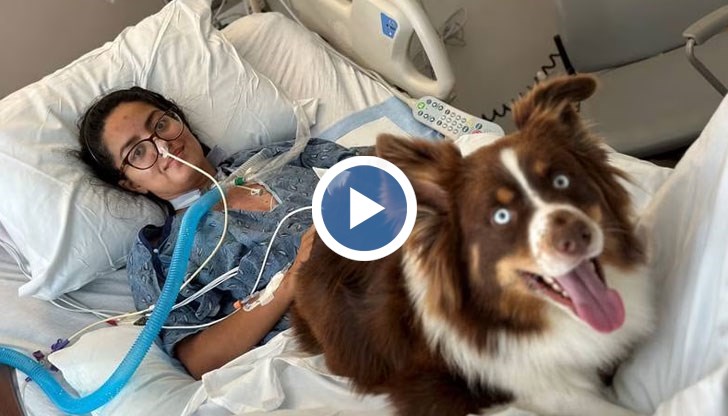 Прогнозите са, че Талита Падила ще успее да се възстанови напълно