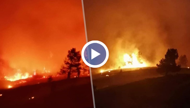 Огънят гори в труднодостъпна местност край махала Веселиновци