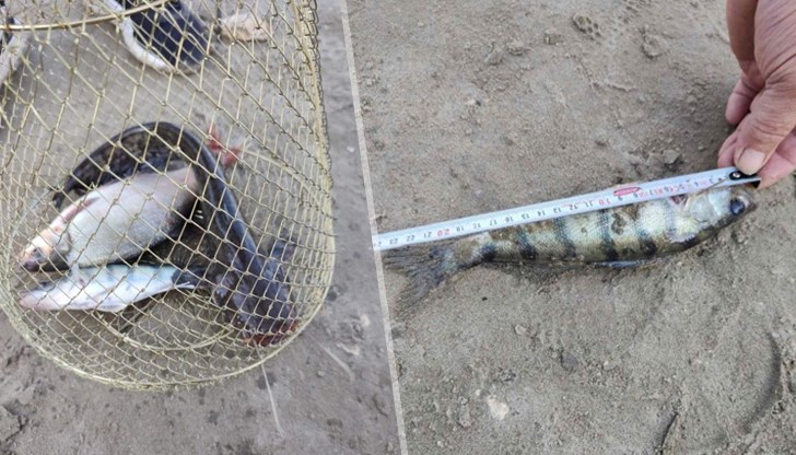 Открити са 300 метра риболовни мрежени около остров Люляка
