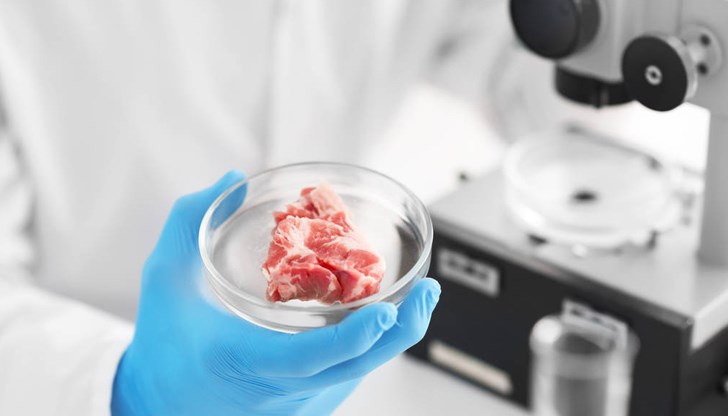 Забранява се продажбата на синтетично месо, получено в лаборатория от животински клетки Забранява се продажбата на синтетично месо, получено в лаборатория от животински клетки