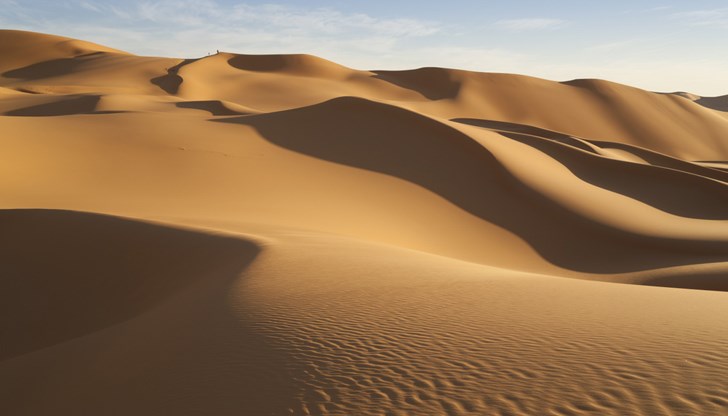 Обявена е награда за откриването на виновния за смъртта на животните