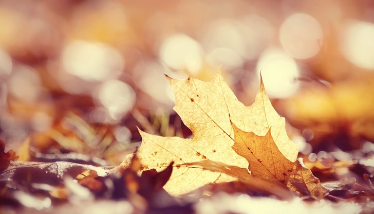 В сряда от запад ще се заоблачи и на отделни места ще превали слаб дъжд