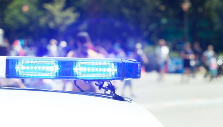 Служителите на МВР откриха над 6 кг канабис в местността „Рациария“