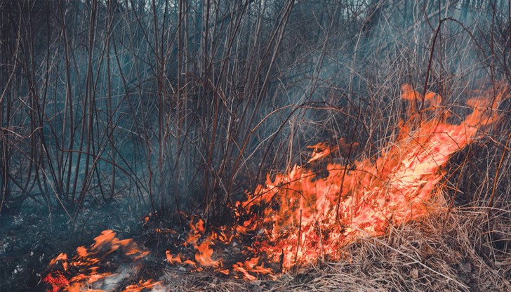 През изминалото денонощие огнеборците са реагирали на 5 сигнала През изминалото денонощие огнеборците са реагирали на 5 сигнала