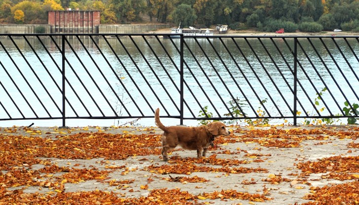 До обяд са гласували едва 10% от имащите право на вот