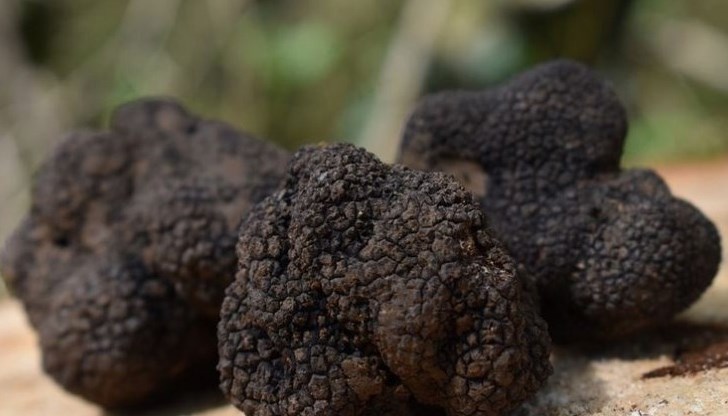 Всеки, недоволен от нещо затваря магистрали, пътища, кръстовища Всеки, недоволен от нещо затваря магистрали, пътища, кръстовища