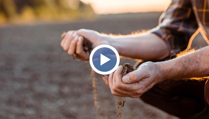 Земеделците се притесняват дали изобщо ще има реколта