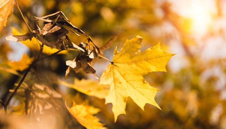 Живакът скача над 30 градуса