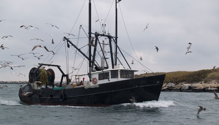 Предложението на Комисията включва ограничения на улова и квоти за цаца и калкан