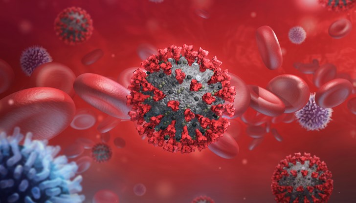 През последните 24 часа са поставени 3 497 ваксини