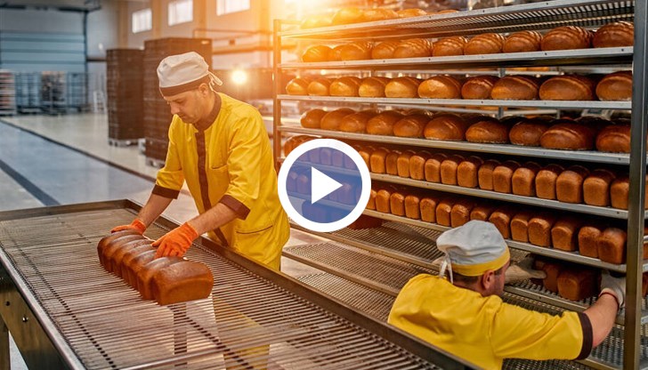 Младите не са достатъчно мотивирани за работа