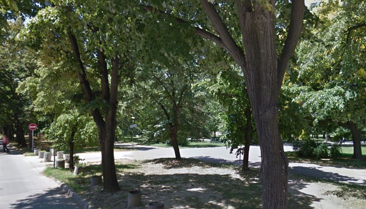 Ще бъде извършена санитарна сеч Ще бъде извършена санитарна сеч