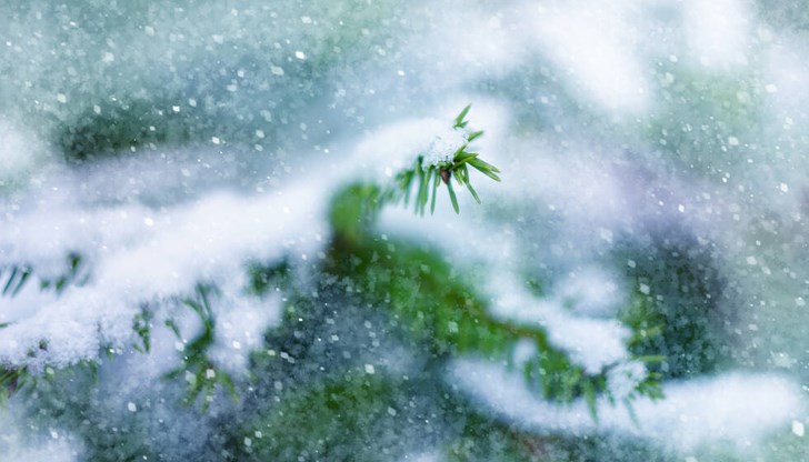 Валежи от суграшица и сняг ще има в по-високите райони на Източното Черноморие