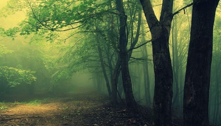 Хоя Бачу е едно от най-странните места в Трансилвания Хоя Бачу е едно от най-странните места в Трансилвания