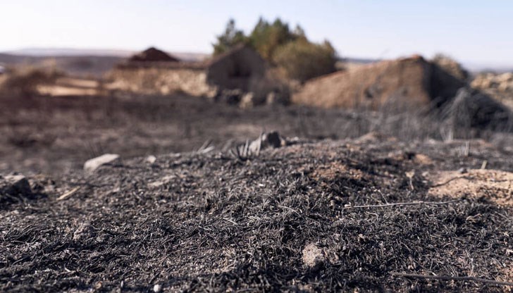 Изгорелите площи се намират край селата Щръклево и Бъзовец