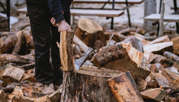 Установени общо 10 кубика дърва огрев от вида цер и габър