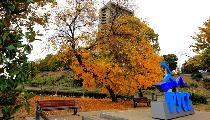 Кандидатите за управници на крайдунавския град са 12 Кандидатите за управници на крайдунавския град са 12